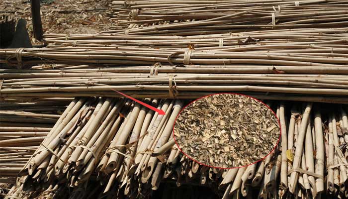 bamboo stacking