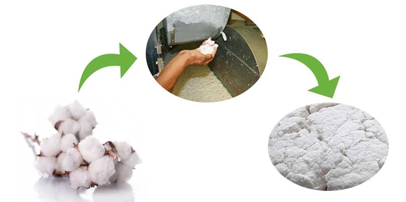 cotton pulp making