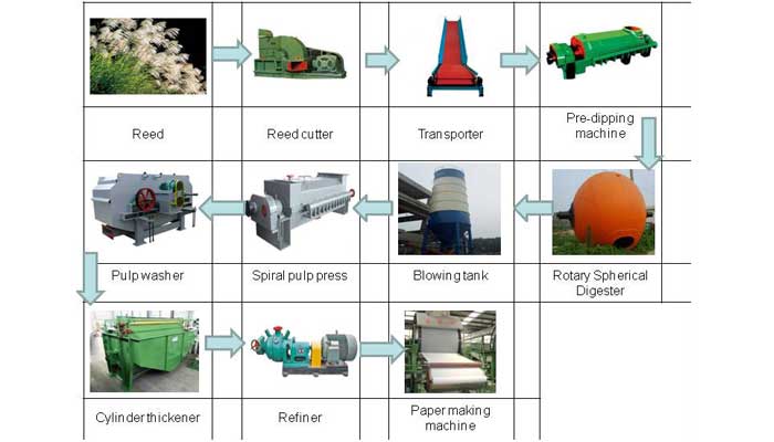 reed pulp production line