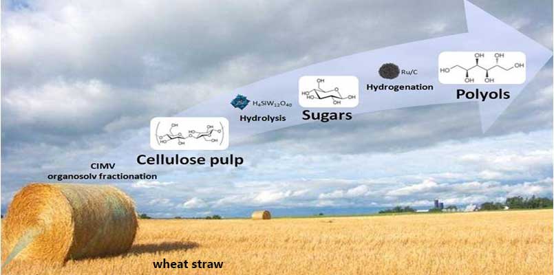 wheat straw pulp making