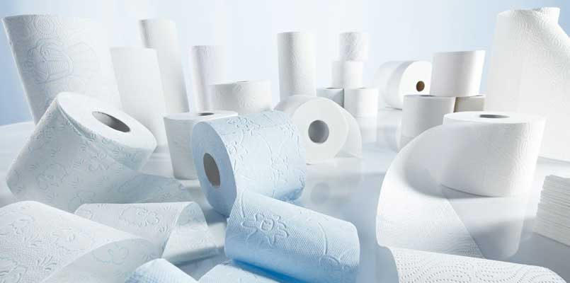 sanitary paper and pulp